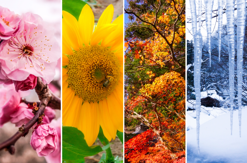 ナイトウエディングとは?お昼の結婚式との違いや魅力・演出アイデアを徹底解説!